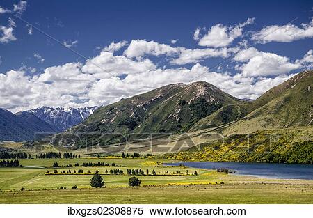 Stock Photography - "Mountains and meadows, Craigieburn Range, Porters Pass, Canterbury, South Island, New Zealand, Oceania". Fotosearch