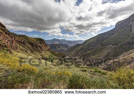 Stock Photography - "Mountains and pinewood forest Pinar de Tamadaba with Mount Pico Bandera, Galdar Region, Gran Canaria, Canary Islands, Spain, Europe, PublicGround, Europe". Fotosearch