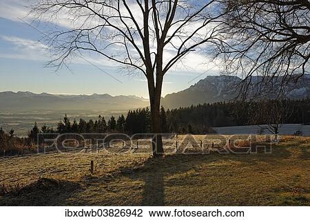 "Mountains Schmittenstein, Hoher Dachstein and Untersberg with Mt Salzburger Hochthron from Johannishogl hill, Piding, Upper Bavaria, Bavaria, Germany, Europe" View Large Photo Image Stock Image - "Mountains Schmittenstein, Hoher Dachstein and Untersberg with Mt Salzburger Hochthron from Johannishogl hill, Piding, Upper Bavaria, Bavaria, Germany, Europe". Fotosearch