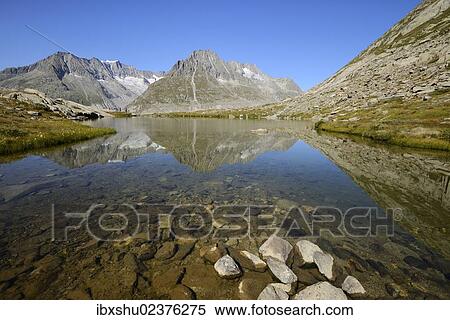 "Mt. Aleschhorn and Mt. Olmenhorn are reflected in a small lake, Fiesch, Valais, Switzerland, Europe" View Large Photo Image Stock Photography - "Mt. Aleschhorn and Mt. Olmenhorn are reflected in a small lake, Fiesch, Valais, Switzerland, Europe". Fotosearch