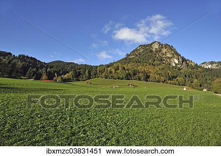 "Mt Hirschberg, Bad Hindelang, Oberallgau, Allgau, Bavaria, Germany, Europe" View Large Photo Image Stock Image - "Mt Hirschberg, Bad Hindelang, Oberallgau, Allgau, Bavaria, Germany, Europe". Fotosearch