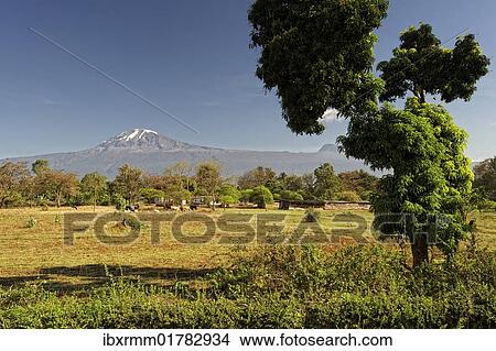 "Mt Kilimanjaro, Tanzania, Africa" View Large Photo Image Picture - "Mt Kilimanjaro, Tanzania, Africa". Fotosearch