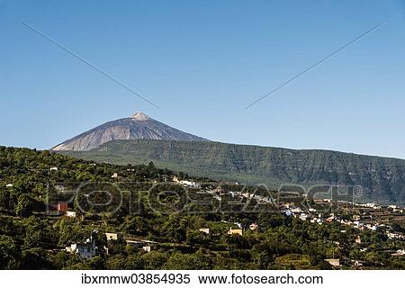 Stock Photography - "Mt Pico del Teide, 3718m, from Orotava Valley, Parque Nacional de las Canadas del Teide, Teide National Park, UNESCO World Heritage Site, Tenerife, Canary Islands, Spain, Europe". Fotosearch