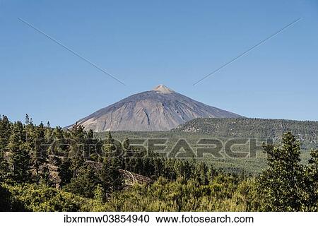 Stock Image - "Mt Pico del Teide, 3718m, with a pine forest at the front, Parque Nacional de las Canadas del Teide, Teide National Park, UNESCO World Heritage Site, Tenerife, Canary Islands, Spain, Europe". Fotosearch