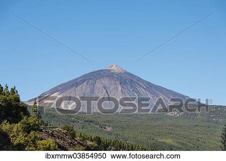 Stock Image - "Mt Pico del Teide, 3718m, with a pine forest at the front, Parque Nacional de las Canadas del Teide, Teide National Park, UNESCO World Heritage Site, Tenerife, Canary Islands, Spain, Europe". Fotosearch