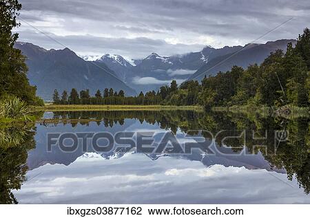 "Mt Tasman and Mt Cook, reflection in Lake Matheson, Mount Cook National Park, Westland National Park, Southern Alps, South Island, New Zealand, Oceania" View Large Photo Image Stock Image - "Mt Tasman and Mt Cook, reflection in Lake Matheson, Mount Cook National Park, Westland National Park, Southern Alps, South Island, New Zealand, Oceania". Fotosearch