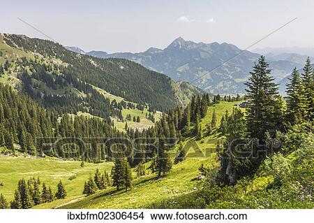 Picture - "Mt Taubenstein near Spitzingsee Lake, Mt Wendelstein, 1838m, at back, Mangfall Mountains, Alps, Bavaria, Germany, Europe". Fotosearch
