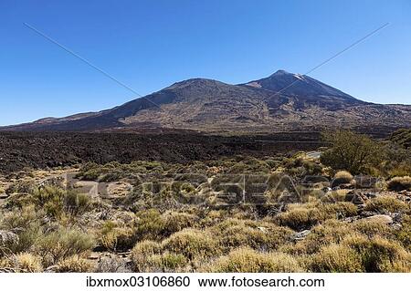 "Mt Teide volcano in the Teide National Park, UNESCO World Heritage Site, El Jaral, Tenerife, Canary Islands, Spain, Europe" View Large Photo Image Stock Image - "Mt Teide volcano in the Teide National Park, UNESCO World Heritage Site, El Jaral, Tenerife, Canary Islands, Spain, Europe". Fotosearch