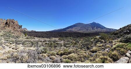 "Mt Teide volcano in the Teide National Park, UNESCO World Heritage Site, El Jaral, Tenerife, Canary Islands, Spain, Europe" View Large Photo Image Stock Photograph - "Mt Teide volcano in the Teide National Park, UNESCO World Heritage Site, El Jaral, Tenerife, Canary Islands, Spain, Europe". Fotosearch