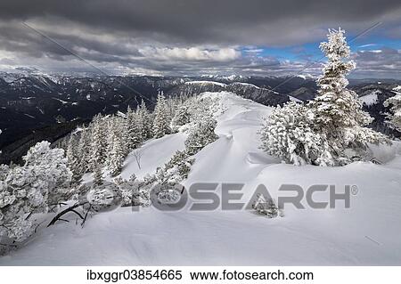 "Mt Wildkamm with a winter forest covered in deep snow, Niederalpl, Murzsteg Alps, Styria, Austria, Europe" View Large Photo Image Stock Photography - "Mt Wildkamm with a winter forest covered in deep snow, Niederalpl, Murzsteg Alps, Styria, Austria, Europe". Fotosearch