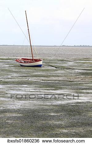 "Mudflats at low tide with a sailing boat, Hallig Hooge, Northern Friesland, North Sea, Wadden Sea, Schleswig-Holstein, Germany, Europe" View Large Photo Image Stock Photograph - "Mudflats at low tide with a sailing boat, Hallig Hooge, Northern Friesland, North Sea, Wadden Sea, Schleswig-Holstein, Germany, Europe". Fotosearch
