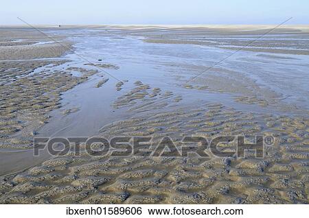 "Mudflats off Langeoog, Lower Saxony, Germany, Europe" View Large Photo Image Stock Photograph - "Mudflats off Langeoog, Lower Saxony, Germany, Europe". Fotosearch