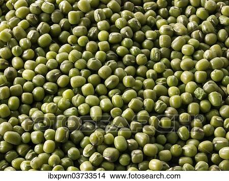 Mung beans View Large Photo Image Picture - Mung beans. Fotosearch