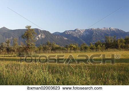 "Murnauer Moos marshland and Ester Mountains, Murnau, Blaues Land region, Upper Bavaria, Bavaria, Germany, Europe, PublicGround, Europe" View Large Photo Image Stock Image - "Murnauer Moos marshland and Ester Mountains, Murnau, Blaues Land region, Upper Bavaria, Bavaria, Germany, Europe, PublicGround, Europe". Fotosearch