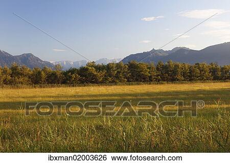 "Murnauer Moos marshland, Murnau, Blaues Land region, Upper Bavaria, Bavaria, Germany, Europe, PublicGround, Europe" View Large Photo Image Stock Photograph - "Murnauer Moos marshland, Murnau, Blaues Land region, Upper Bavaria, Bavaria, Germany, Europe, PublicGround, Europe". Fotosearch