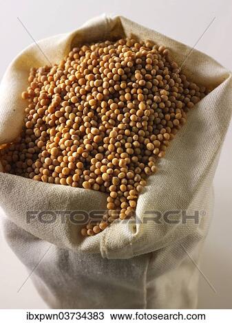 Mustard seeds View Large Photo Image Stock Image - Mustard seeds. Fotosearch