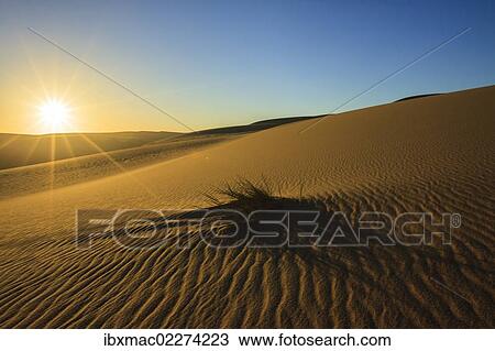 Stock Image - "Namib Desert, Namib Naukluft Park, Namibia, Africa". Fotosearch
