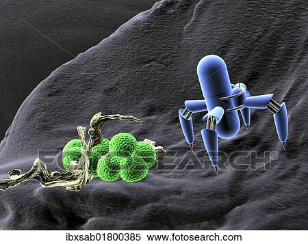 "Nano robots and bacteria, concept nanotechnology in medicine, 3D illustration" View Large Photo Image Stock Photography - "Nano robots and bacteria, concept nanotechnology in medicine, 3D illustration". Fotosearch