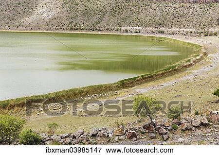 "Narli Gol, crater lake, Nigde Province, Cappadocia, Central Anatolia Region, Anatolia, Turkey, Asia" View Large Photo Image Stock Photo - "Narli Gol, crater lake, Nigde Province, Cappadocia, Central Anatolia Region, Anatolia, Turkey, Asia". Fotosearch