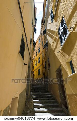 Picture - "Narrow alley between yellow houses, Manarola, Cinque Terre, La Spezia, Cinque Terre, Liguria, Italy, Europe". Fotosearch
