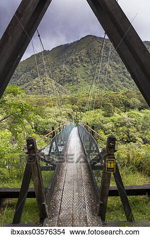 "Narrow suspension bridge over the Fox River, Fox River, West Coast Region, New Zealand, Oceania" View Large Photo Image Picture - "Narrow suspension bridge over the Fox River, Fox River, West Coast Region, New Zealand, Oceania". Fotosearch