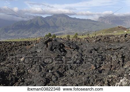 "Natural monument of Tubo de Volcanico Todoque near Las Mancha, lava flow from 1949, La Palma, Canary Islands, Spain, Europe" View Large Photo Image Stock Photo - "Natural monument of Tubo de Volcanico Todoque near Las Mancha, lava flow from 1949, La Palma, Canary Islands, Spain, Europe". Fotosearch