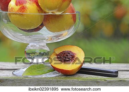 "Nectarines in a glass bowl, half a nectarine with core" View Large Photo Image Stock Photography - "Nectarines in a glass bowl, half a nectarine with core". Fotosearch