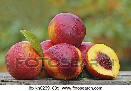 Stock Photography - "Nectarines with drops of water, have a nectarine with core". Fotosearch