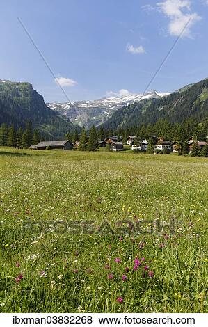 Stock Photo - "Nenzinger Himmel alpine meadow, Gamperdonatal, Nenzing parish, Ratikon, Vorarlberg, Austria, Europe". Fotosearch