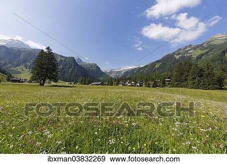 "Nenzinger Himmel alpine meadow, Gamperdonatal, Nenzing parish, Ratikon, Vorarlberg, Austria, Europe" View Large Photo Image Stock Photo - "Nenzinger Himmel alpine meadow, Gamperdonatal, Nenzing parish, Ratikon, Vorarlberg, Austria, Europe". Fotosearch