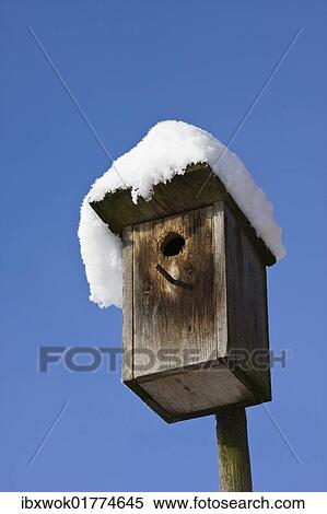 "Nestbox in winter with snow, Bavaria, Germany, Europe" View Large Photo Image Stock Photography - "Nestbox in winter with snow, Bavaria, Germany, Europe". Fotosearch