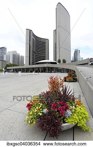 "New City Hall, Nathan Philips Square, Toronto, Ontario Province, Canada, North America" View Large Photo Image Picture - "New City Hall, Nathan Philips Square, Toronto, Ontario Province, Canada, North America". Fotosearch