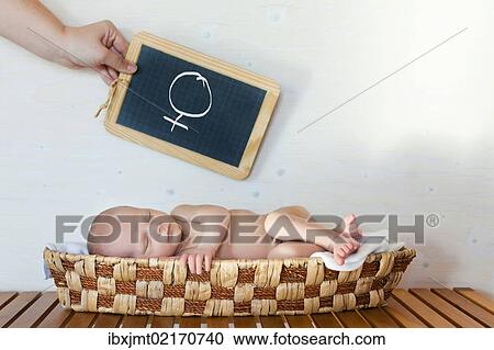 Stock Image - "Newborn baby, 3 weeks, sleeping in a basket, with a hand holding a blackboard with a Venus symbol above it". Fotosearch