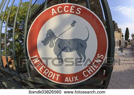 "No Dogs Allowed, French sign, Capuchin Monastery of L'Annonciade, Provence-Alpes-Cote d’Azur, France, Europe" View Large Photo Image Stock Image - "No Dogs Allowed, French sign, Capuchin Monastery of L'Annonciade, Provence-Alpes-Cote d’Azur, France, Europe". Fotosearch