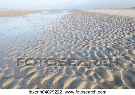 "North Sea beach with water running off at falling tide, Langeoog, East Frisia, Lower Saxony, Germany, Europe" View Large Photo Image Stock Image - "North Sea beach with water running off at falling tide, Langeoog, East Frisia, Lower Saxony, Germany, Europe". Fotosearch