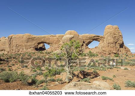 "North Window and South Window, natural arches, Arches National Park, Moab, Utah, United States, North America" View Large Photo Image Stock Image - "North Window and South Window, natural arches, Arches National Park, Moab, Utah, United States, North America". Fotosearch