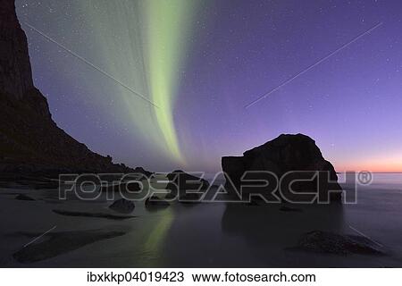 "Northern Lights on Utakleiv Beach, Vestvagoy, Lofoten, Norway, Europe" View Large Photo Image Stock Image - "Northern Lights on Utakleiv Beach, Vestvagoy, Lofoten, Norway, Europe". Fotosearch