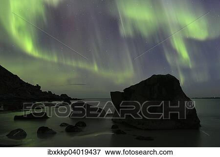 Stock Photo - "Northern Lights on Utakleiv Beach, Vestvagoy, Lofoten, Norway, Europe". Fotosearch