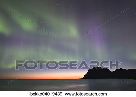 "Northern Lights on Utakleiv Beach, Vestvagoy, Lofoten, Norway, Europe" View Large Photo Image Stock Photo - "Northern Lights on Utakleiv Beach, Vestvagoy, Lofoten, Norway, Europe". Fotosearch