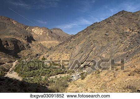 "Oasis with date palms in Wadi Haat, Hajar Mountains of the Jabal al-Akhdar Range, Jabal-al-Akhdar, Oman, Asia" View Large Photo Image Stock Image - "Oasis with date palms in Wadi Haat, Hajar Mountains of the Jabal al-Akhdar Range, Jabal-al-Akhdar, Oman, Asia". Fotosearch