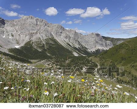 Stock Photo - "Obere Wolayer Alm mountain pasture with the Biegengebirge Mountains, Carnic Alps, Lesachtal, Carinthia, Austria, Europe". Fotosearch
