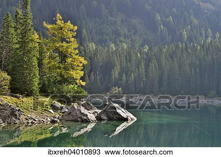 "Obernberger See, Obernberg am Brenner, Tyrol, Austria, Europe" View Large Photo Image Stock Image - "Obernberger See, Obernberg am Brenner, Tyrol, Austria, Europe". Fotosearch