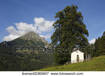 "Ochsenwaldkapelle chapel on Ochsenwaldalm alp, Grosser Pyhrgas mountain at the back, Spital am Pyhrn, Pyhrn-Priel, Traunviertel region, Upper Austria, Austria, Europe" View Large Photo Image Stock Photo - "Ochsenwaldkapelle chapel on Ochsenwaldalm alp, Grosser Pyhrgas mountain at the back, Spital am Pyhrn, Pyhrn-Priel, Traunviertel region, Upper Austria, Austria, Europe". Fotosearch