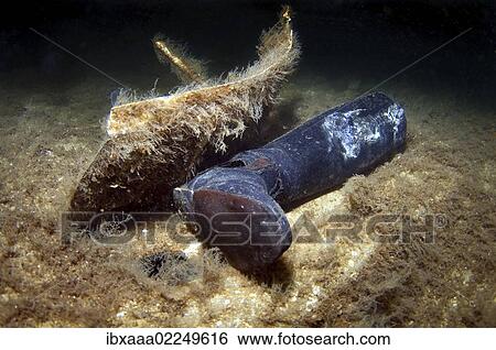 Stock Photograph - "Officer's boot, from plane wreck Junkers JU-52, Black Sea, Odessa, Ukraine, Eastern Europe, Europe". Fotosearch