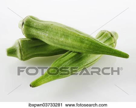 Okra or Lady's fingers View Large Photo Image Stock Image - Okra or Lady's fingers. Fotosearch