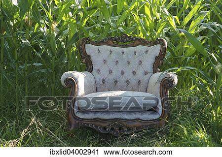 Old armchair in front of a corn field View Large Photo Image Stock Image - Old armchair in front of a corn field. Fotosearch
