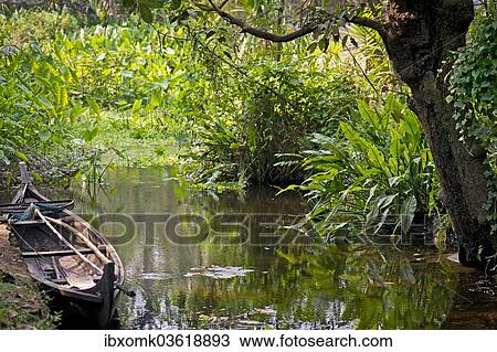 "Old boat on a canal, Backwaters, Kerala, India, Asia" View Large Photo Image Stock Image - "Old boat on a canal, Backwaters, Kerala, India, Asia". Fotosearch