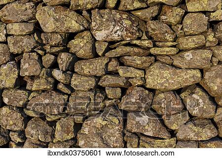"Old English dry stone wall, detail, Lake District National Park, Cumbria, England, United Kingdom, Europe" View Large Photo Image Stock Image - "Old English dry stone wall, detail, Lake District National Park, Cumbria, England, United Kingdom, Europe". Fotosearch