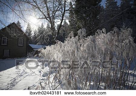 Stock Image - "Old house in winter, Masserberg, Thuringia, Germany, Europe". Fotosearch