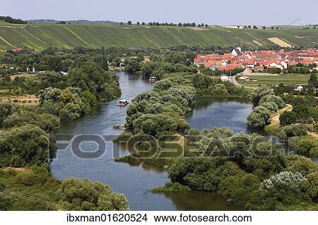 "Old Main River, Nordheim am Main, Mainschleife, loop in the Main River, Mainfranken, Lower Franconia, Franconia, Bavaria, Germany, Europe" View Large Photo Image Picture - "Old Main River, Nordheim am Main, Mainschleife, loop in the Main River, Mainfranken, Lower Franconia, Franconia, Bavaria, Germany, Europe". Fotosearch